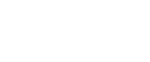 Brain AI — עדן ביבס