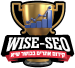 WiseSEO — שלומי גינזבורג